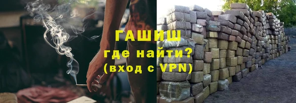 индика Мегион