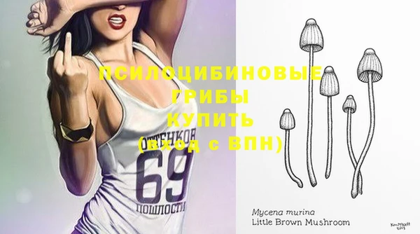 винт Медногорск