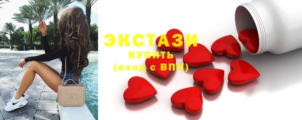 индика Мегион