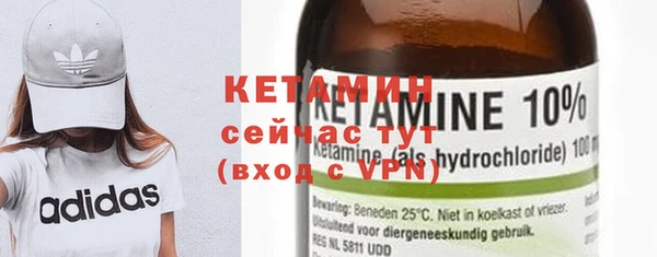 индика Мегион