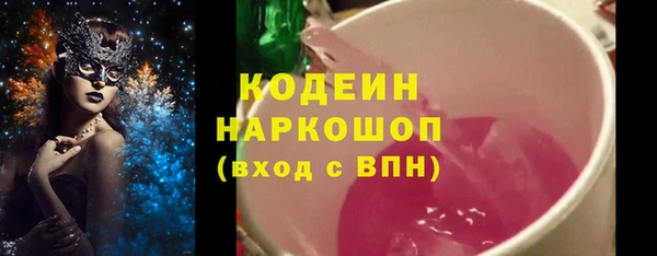 индика Мегион