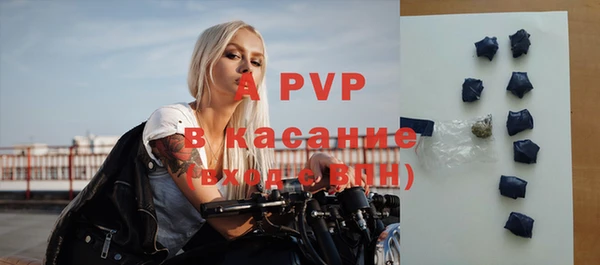 индика Мегион