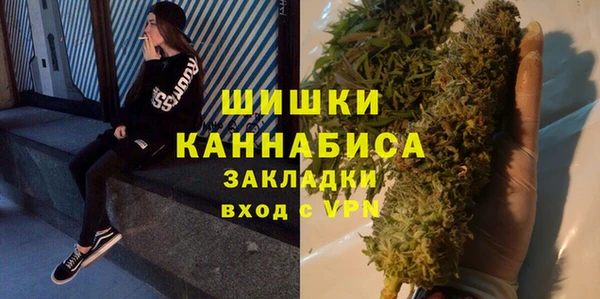 индика Мегион