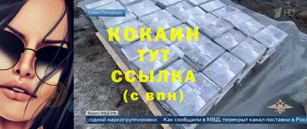 крисы Магас