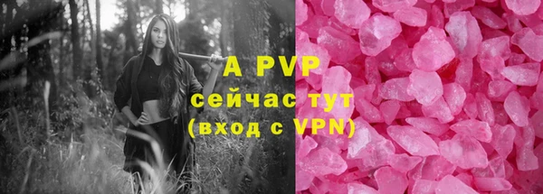 молекула духа Медвежьегорск