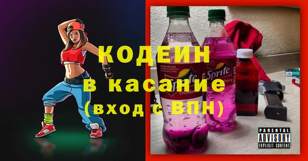 индика Мегион