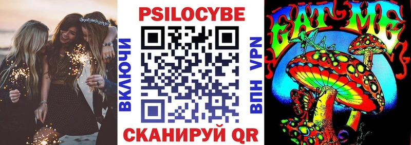 купить закладку Новоржев Псилоцибиновые грибы MAGIC MUSHROOMS